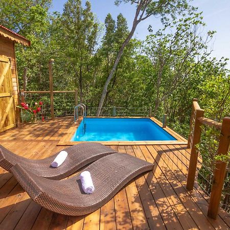 Au Jardin Des Colibris Ecolodge&Spa Deshaies Ngoại thất bức ảnh