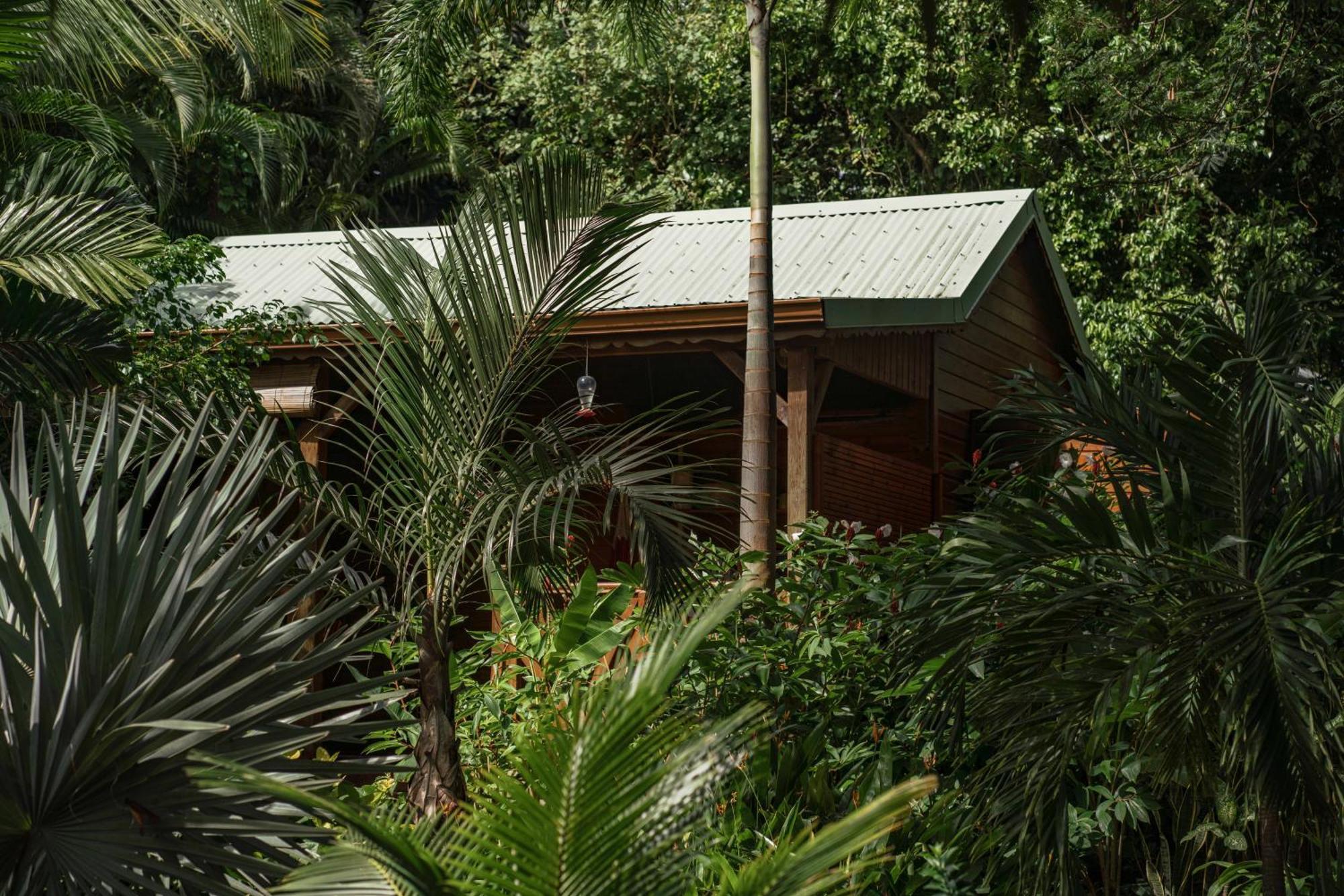 Au Jardin Des Colibris Ecolodge&Spa Deshaies Ngoại thất bức ảnh